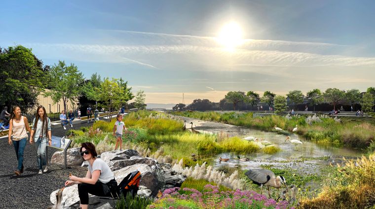 San Lorenzo Creekway Master Plan