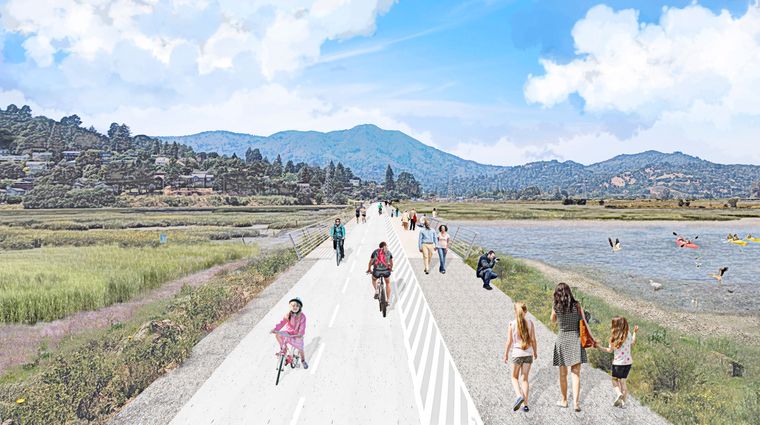 Bothin Marsh Adaptation Project